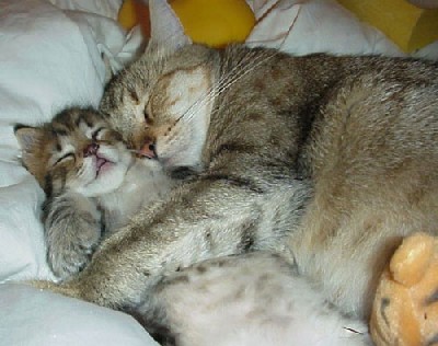 deux petit ange